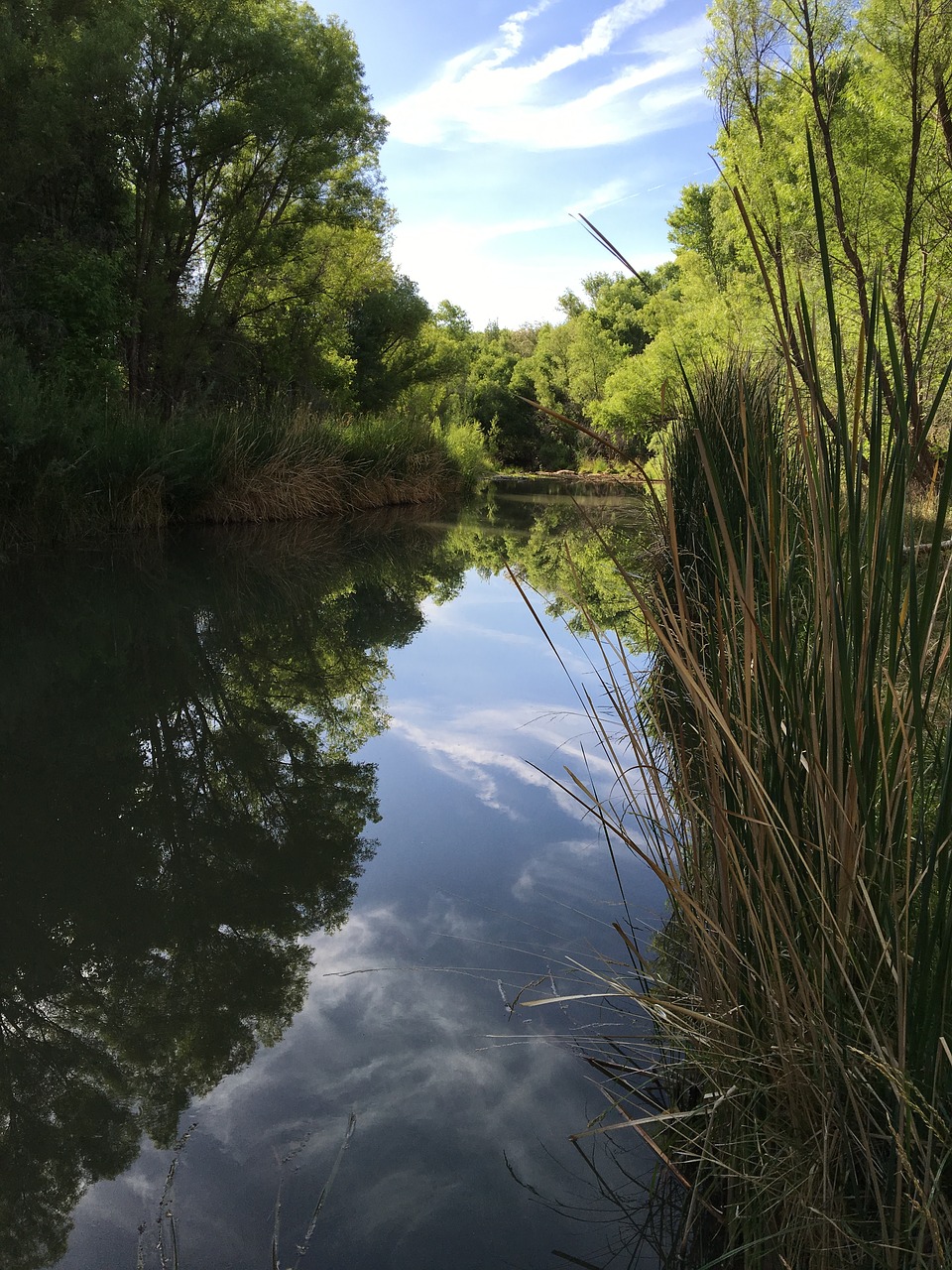 verde river  cottonwood arizona  sky free photo