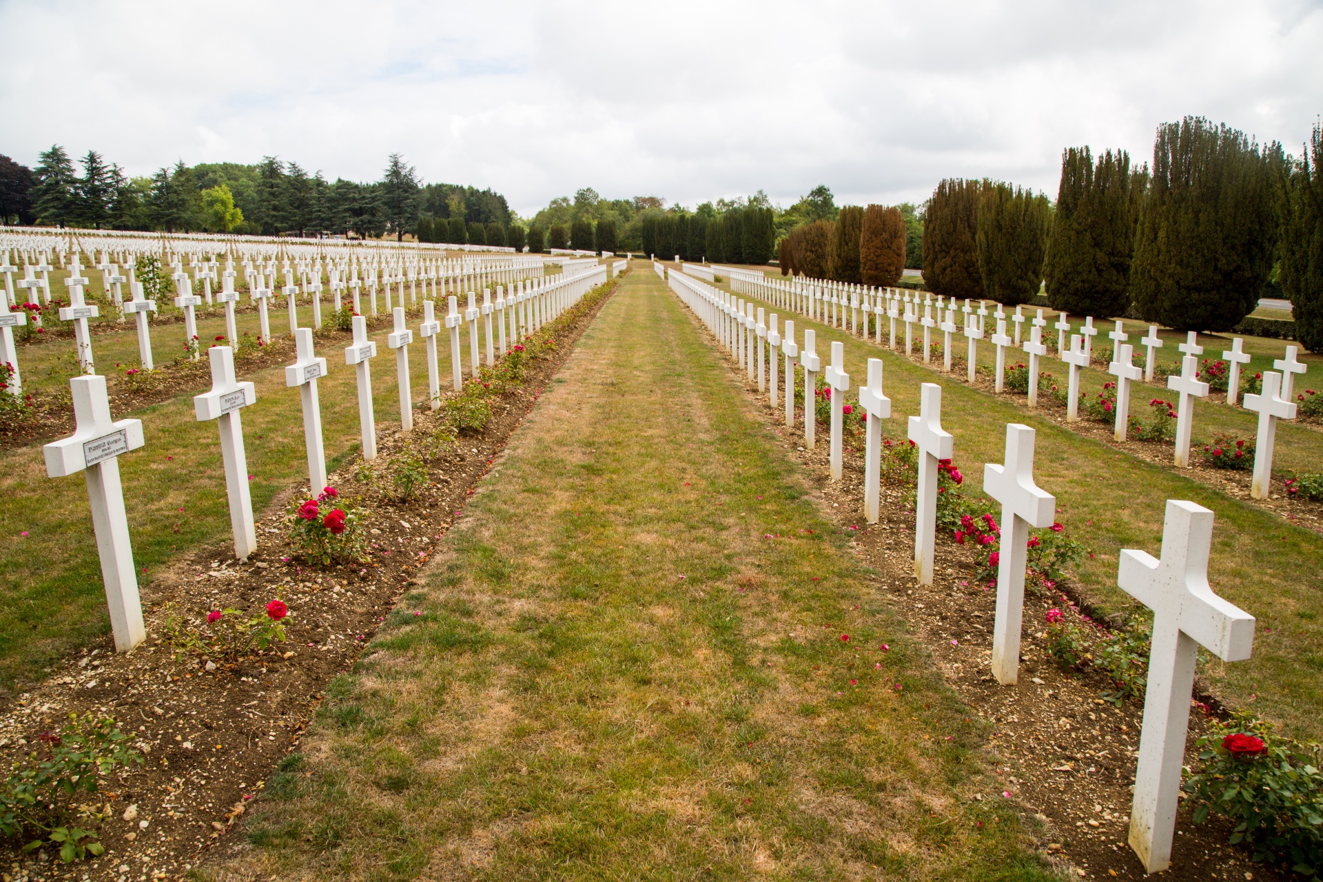 war verdun ww1 free photo