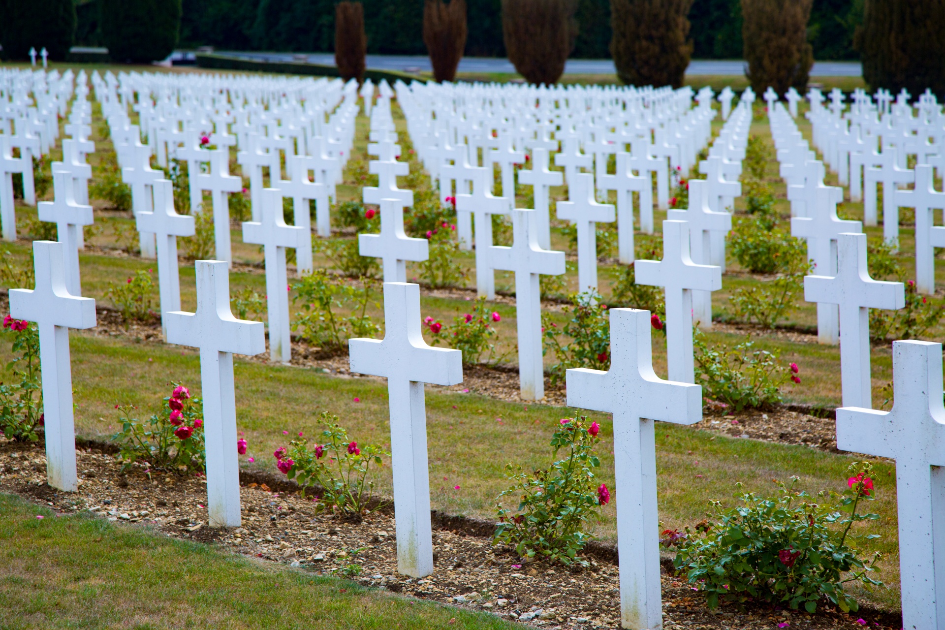 verdun tomb cemetery free photo