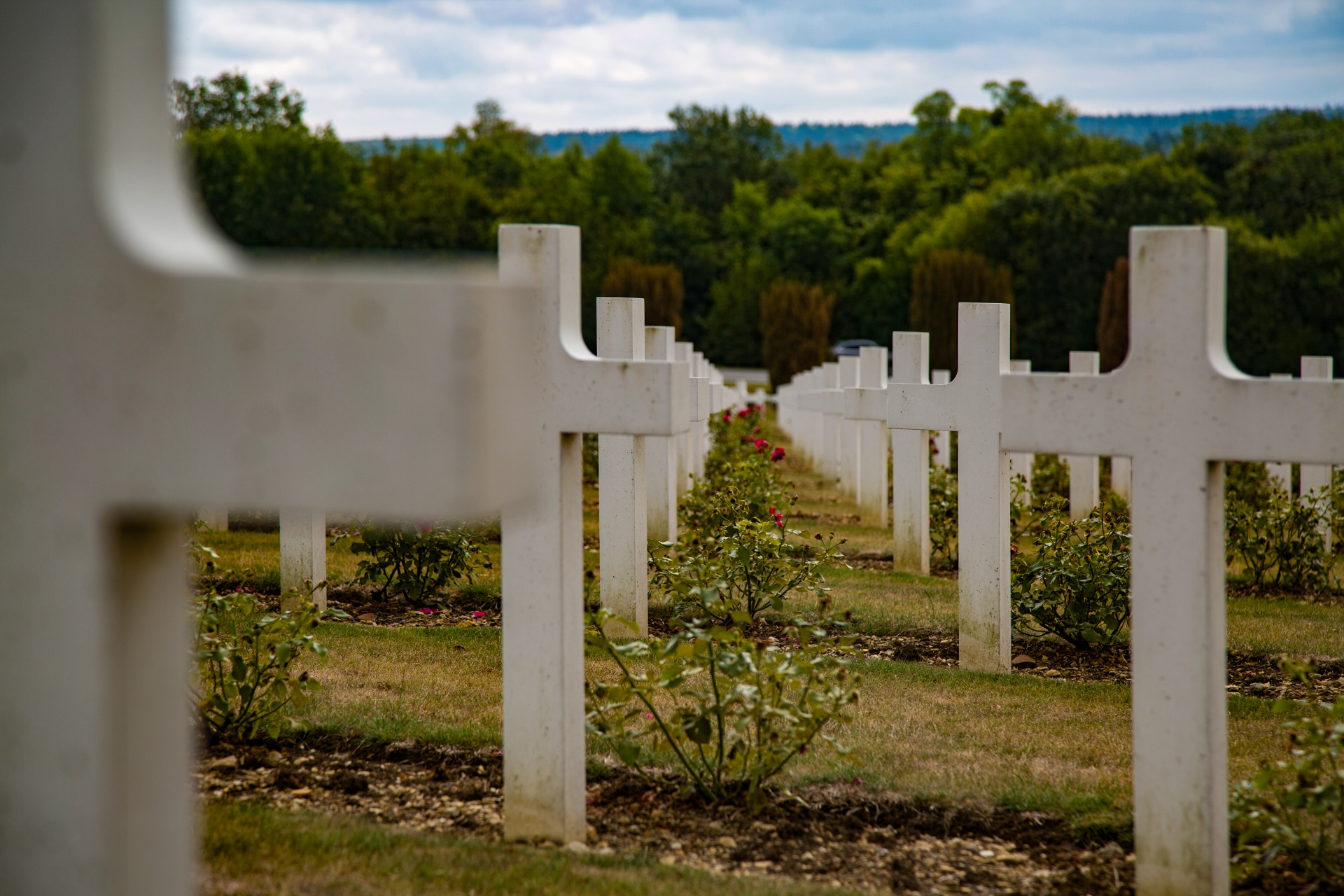 verdun tomb cemetery free photo