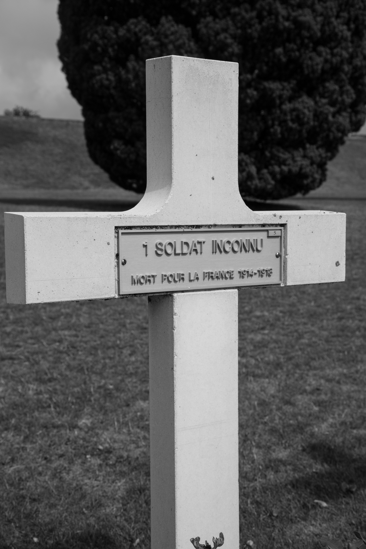 verdun tomb cemetery free photo