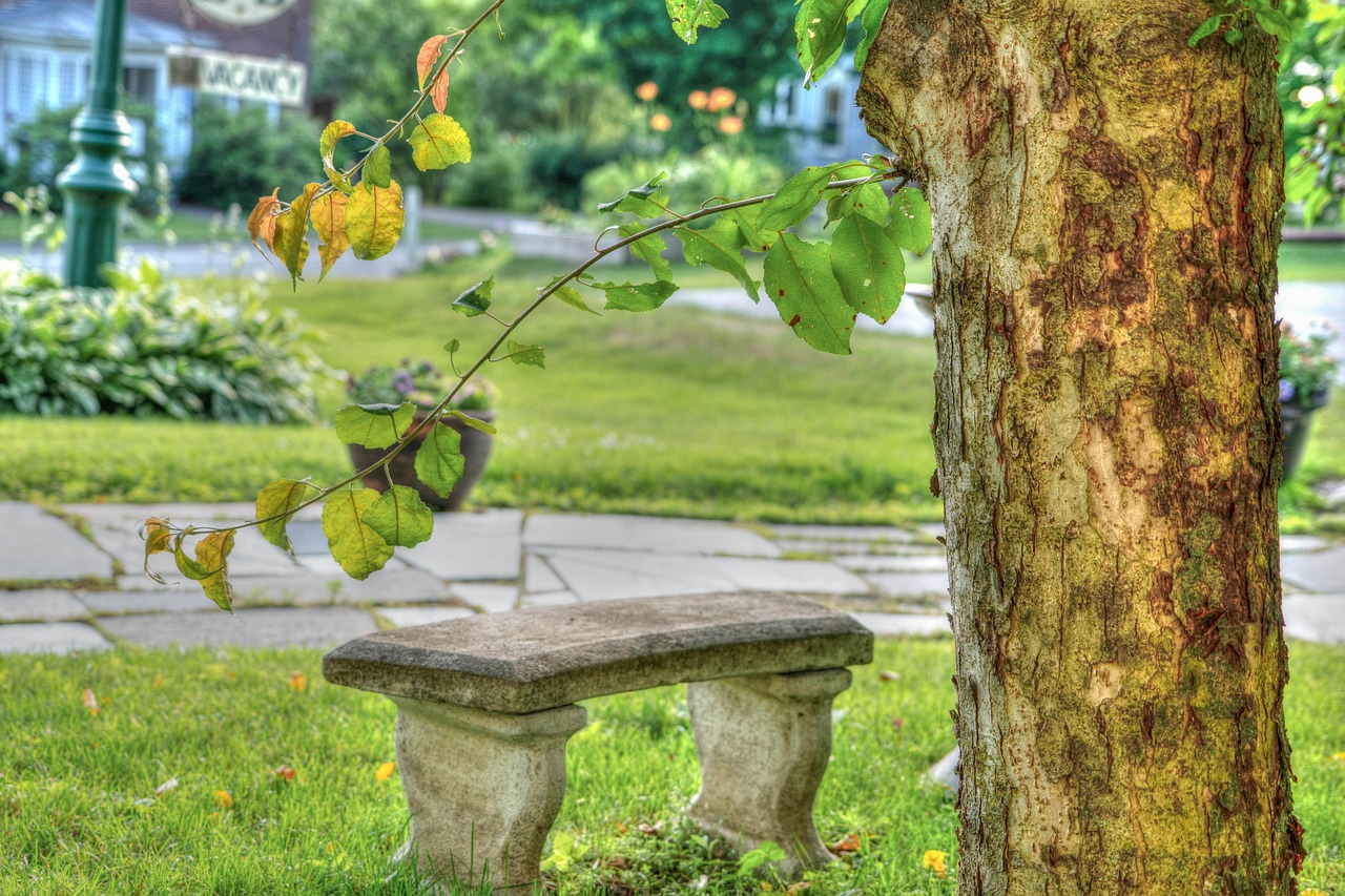 vermont  green mountains  bench free photo