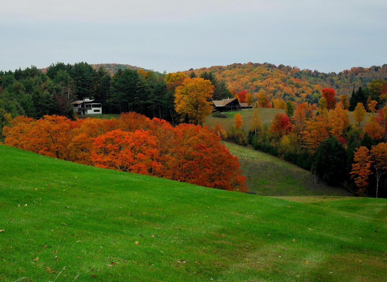 vermont fall new england free photo