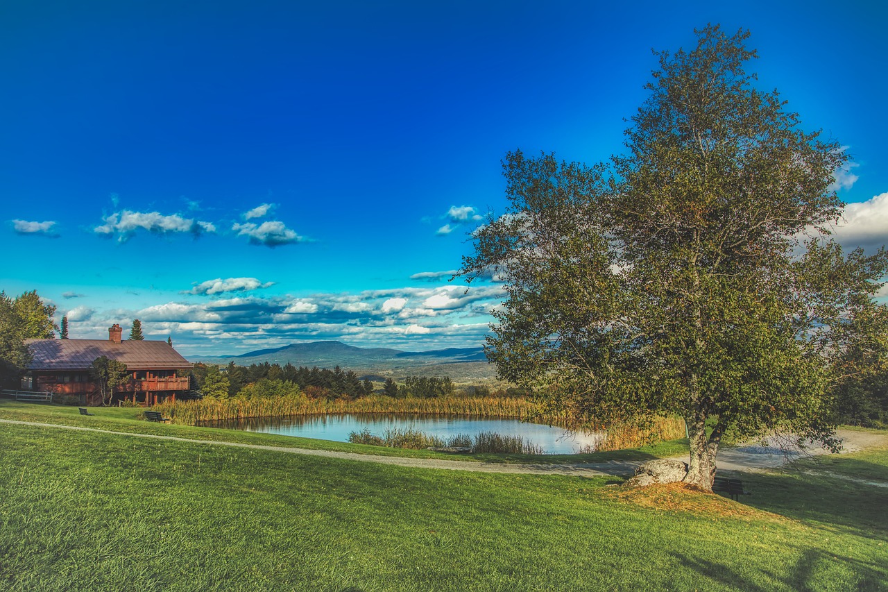 vermont  new england  pond free photo