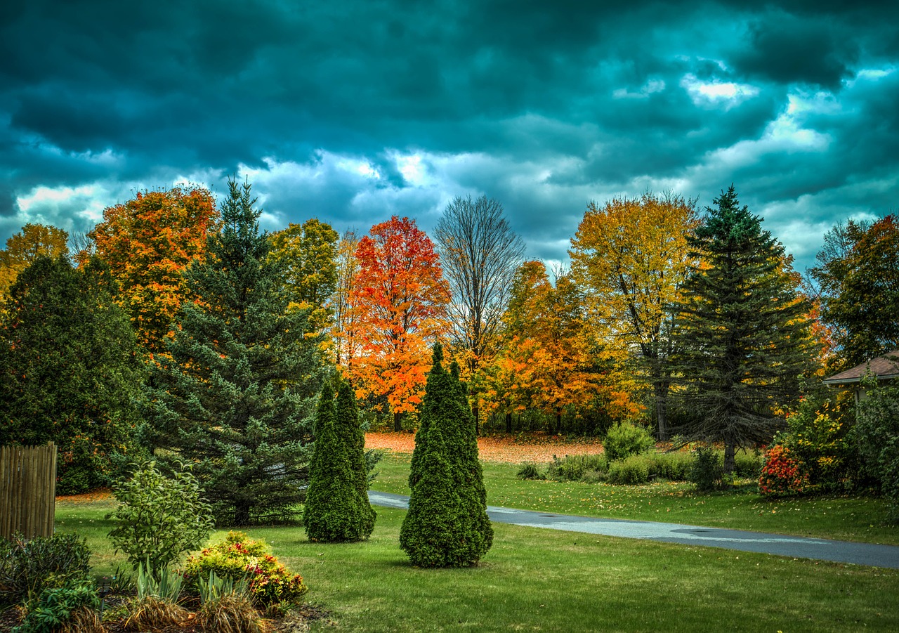 vermont foliage fall free photo