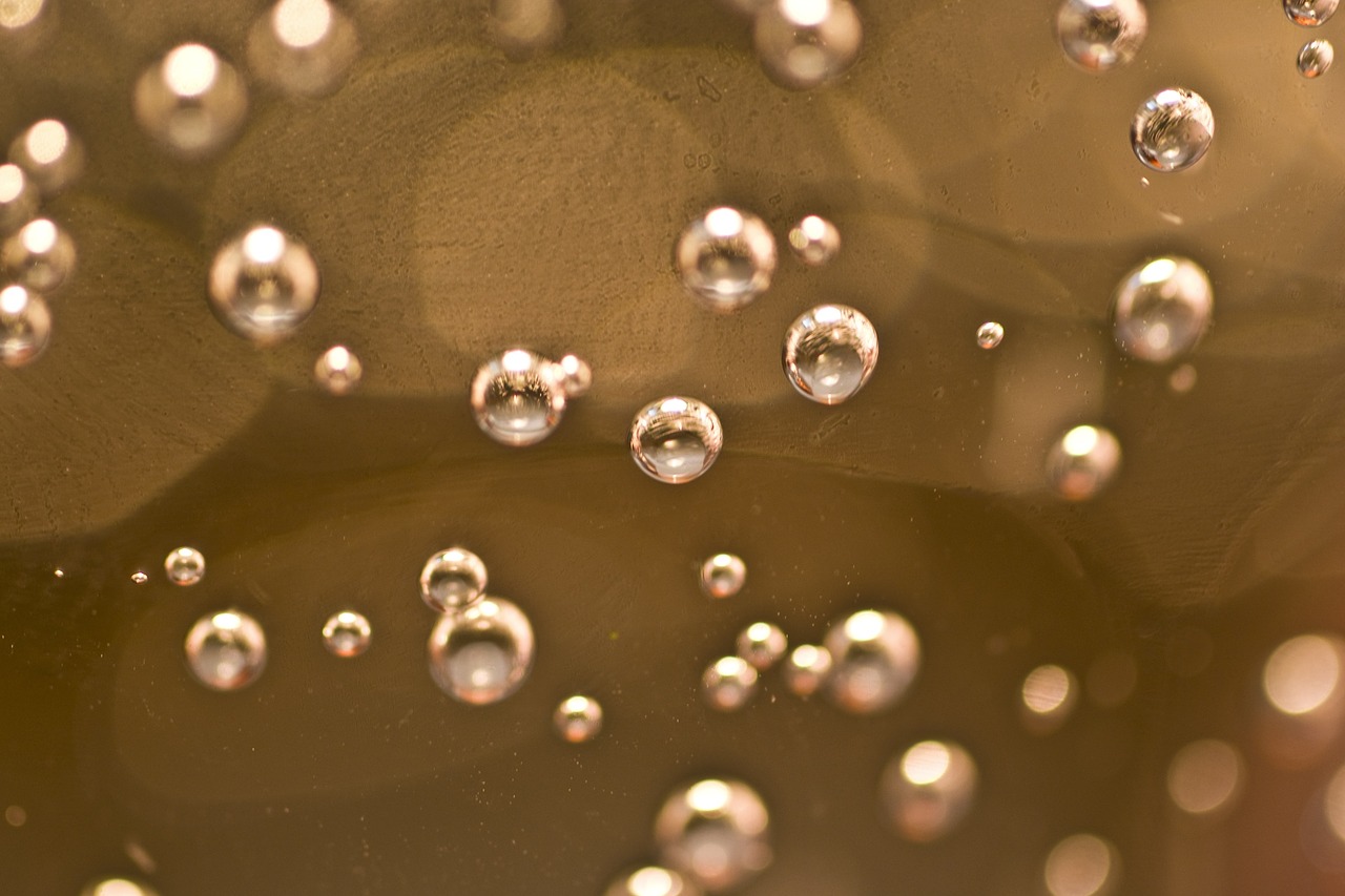 vesicle water air bubbles free photo