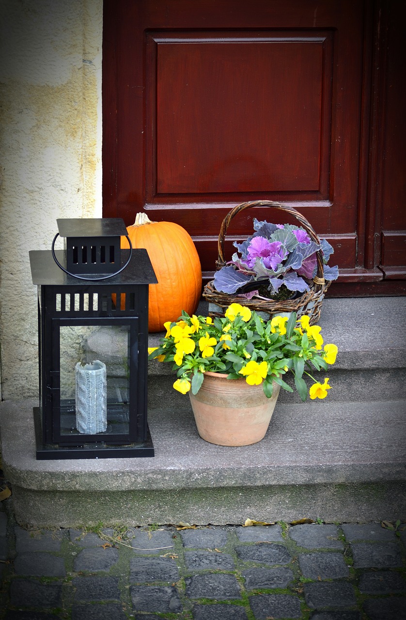 veszprém old town square halloween free photo