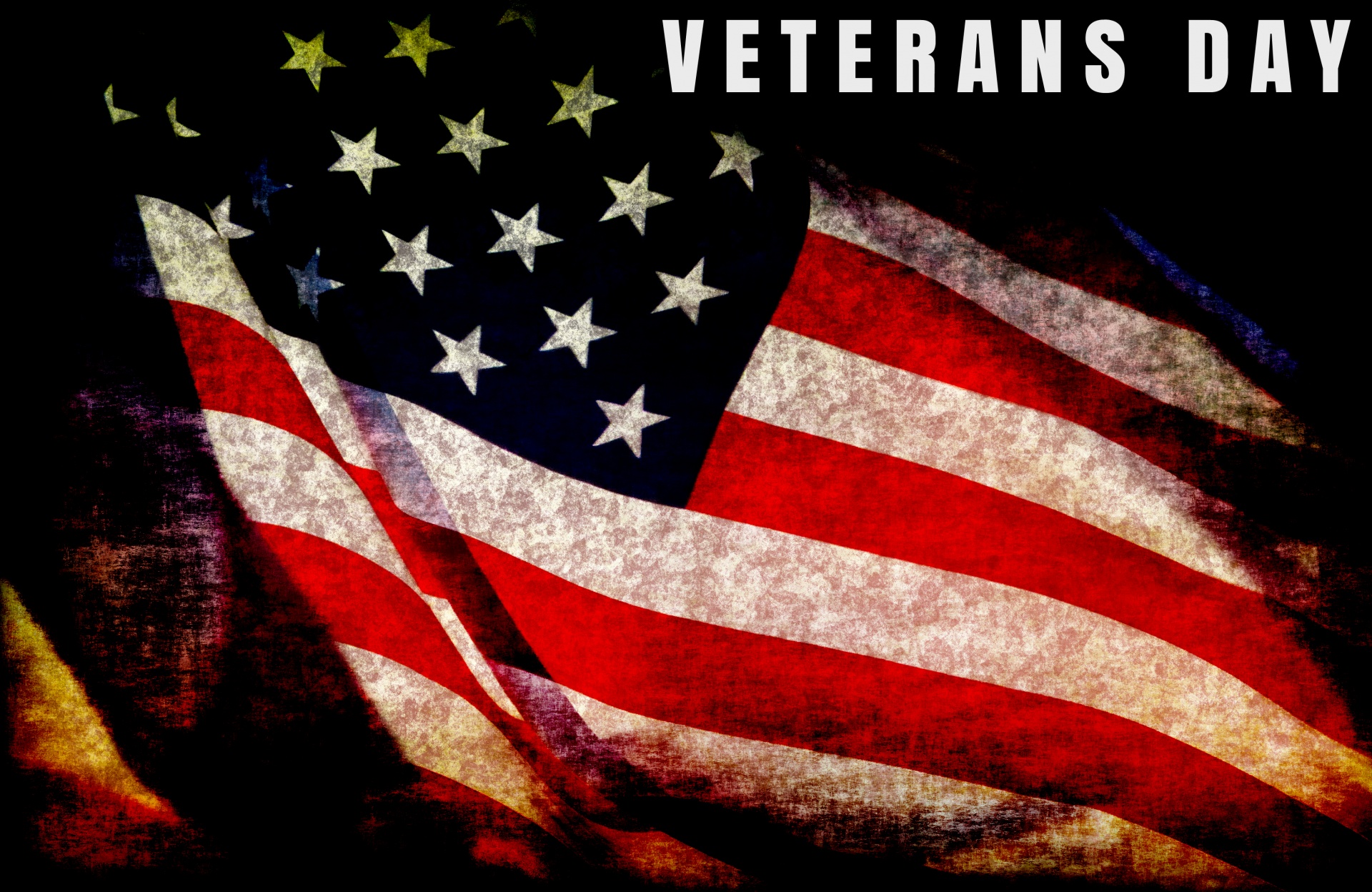 veteran's day flag america free photo