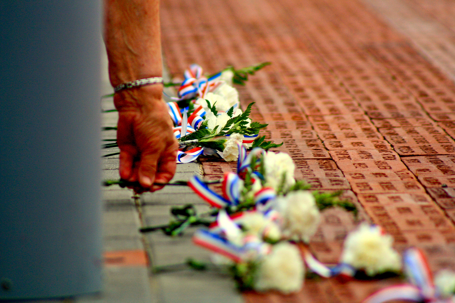 veteran veterans day memorial free photo