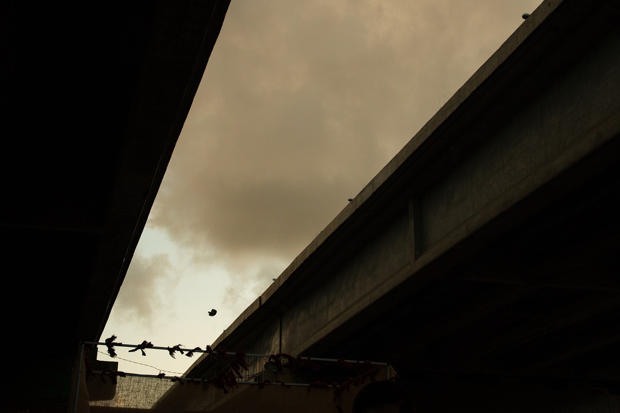 viaduct sunset urban free photo