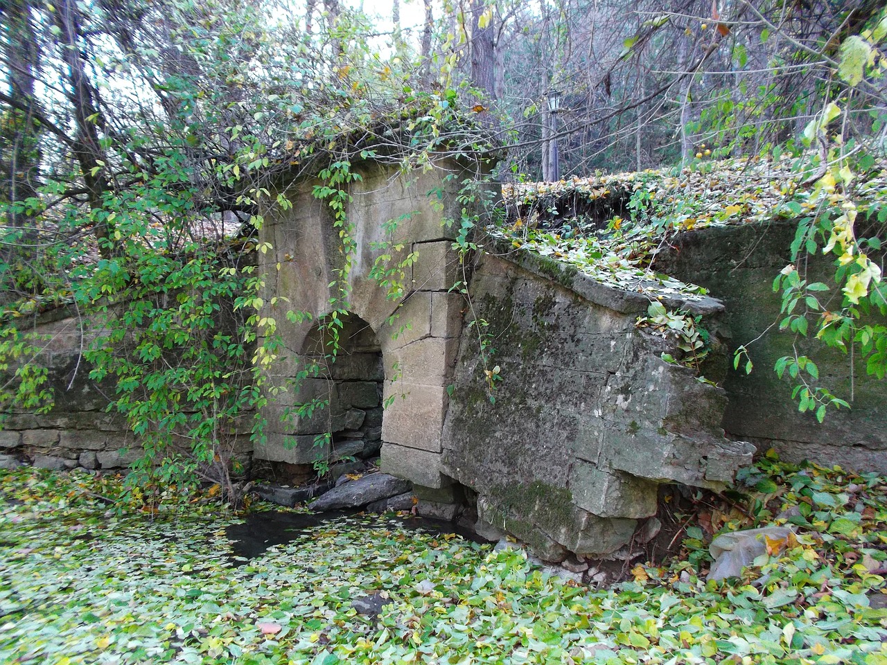 viaduct autumn nature free photo