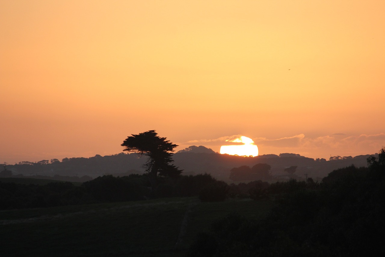 victoria sunset calm free photo