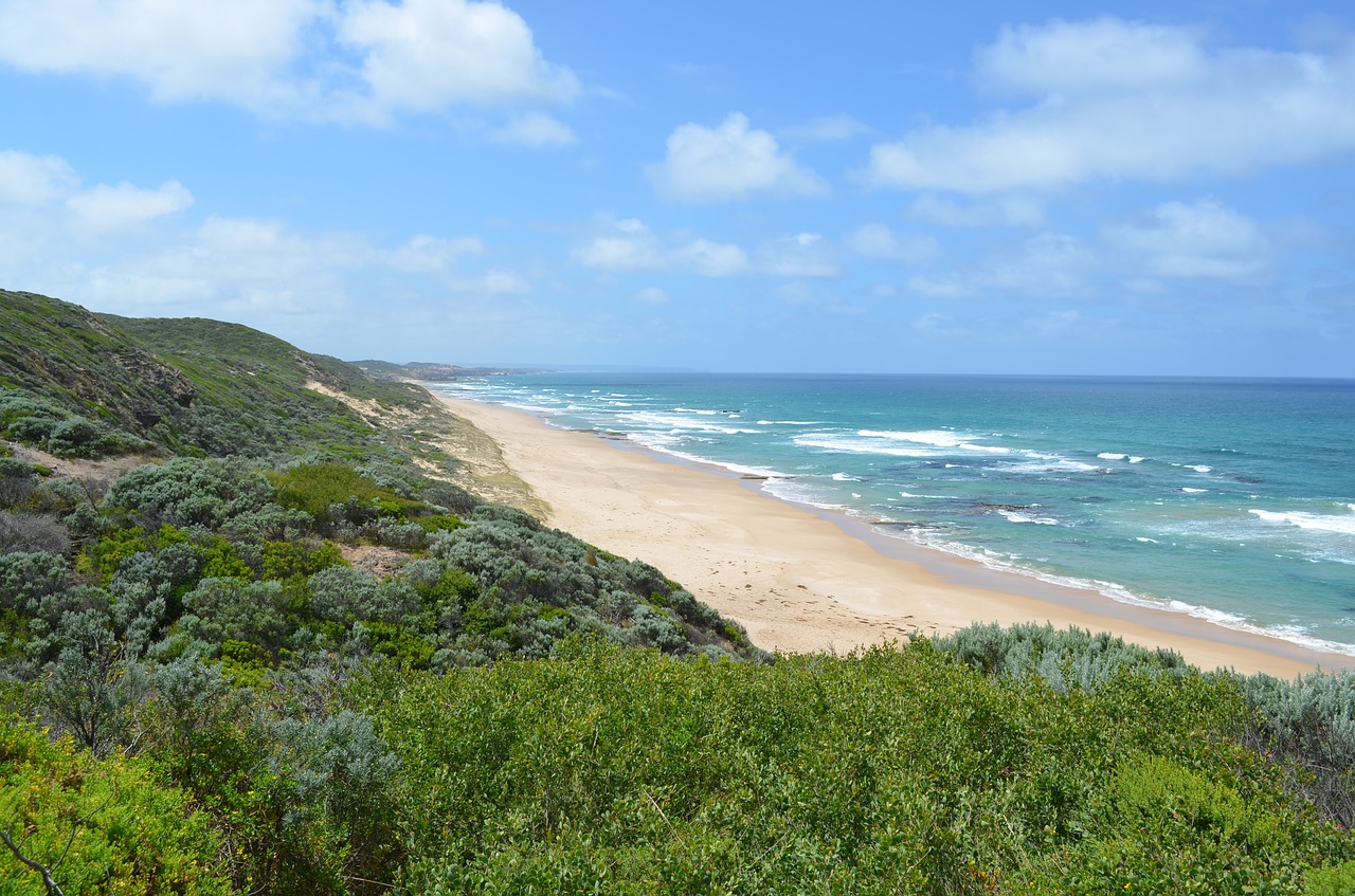 victoria coastline australia free photo