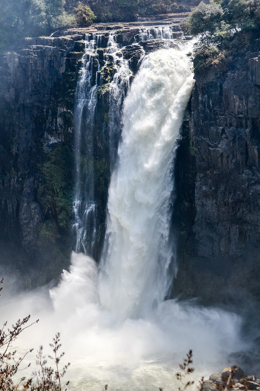 victoria  waterfall  beauty free photo