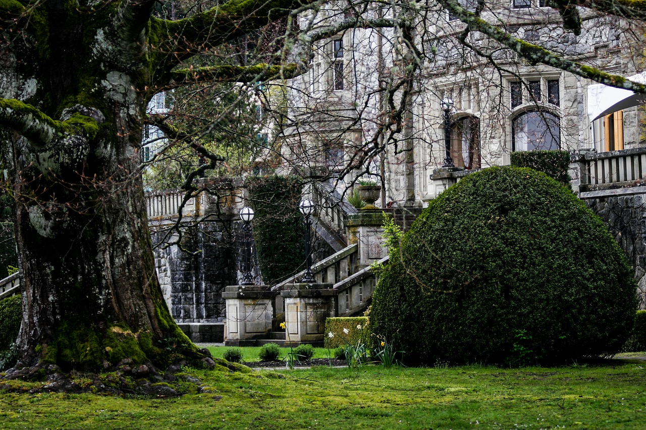 victorian home castle ancient free photo