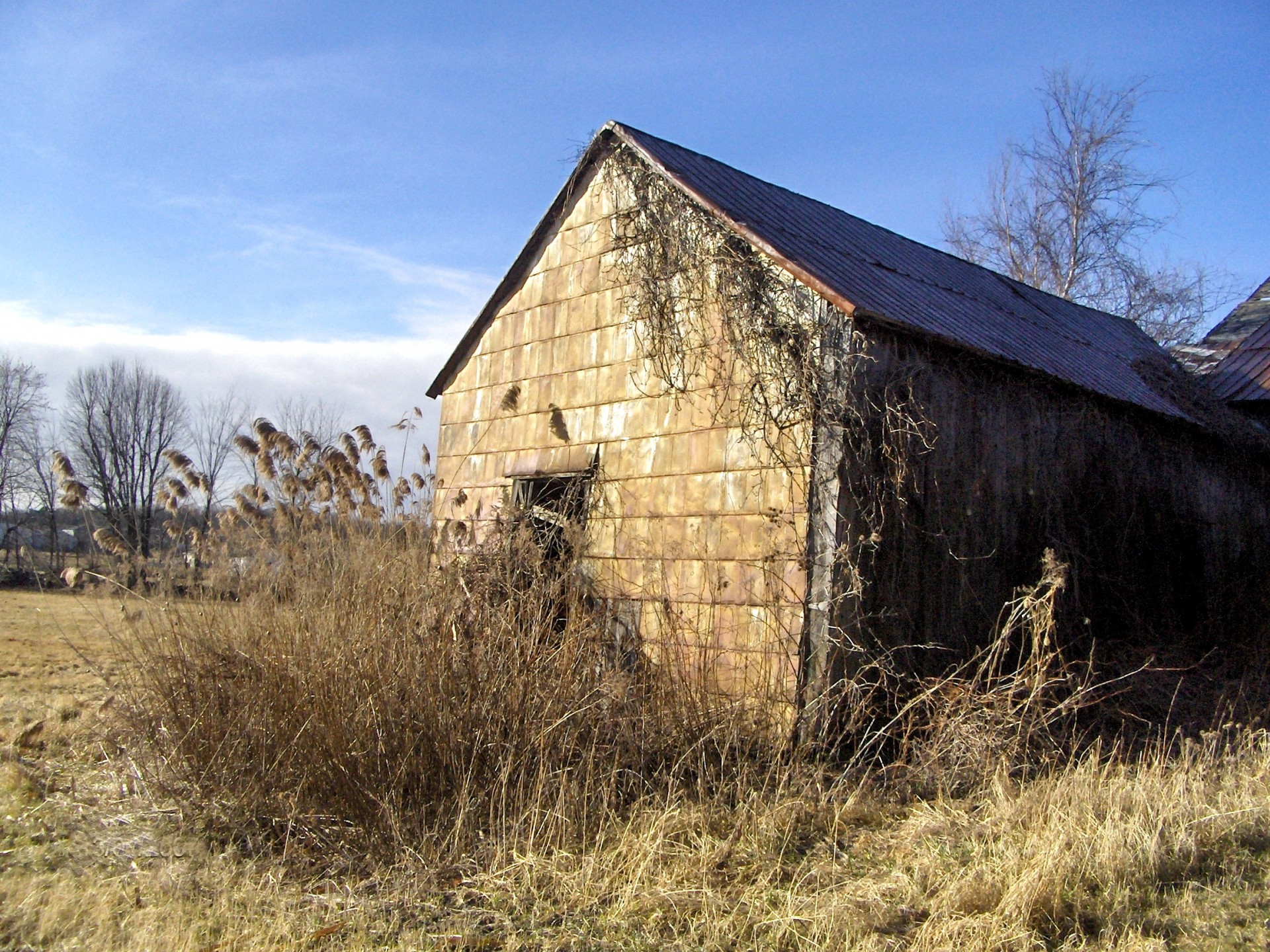 barn country quebec free photo