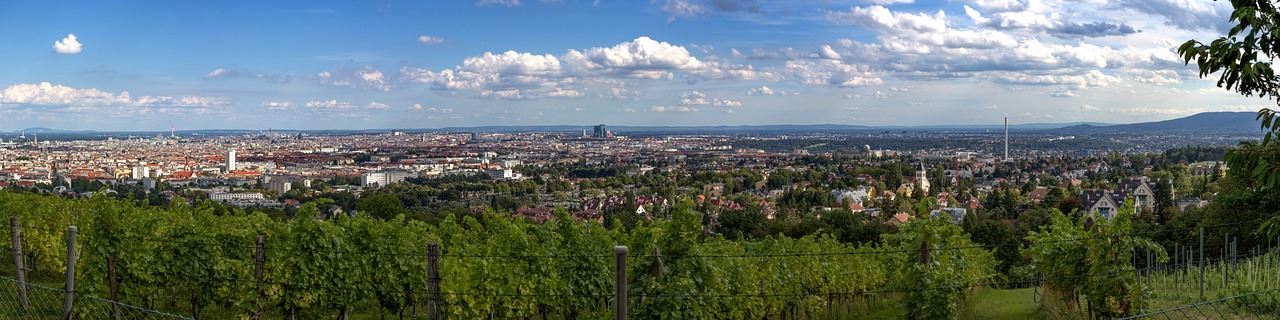 vienna panorama vineyard free photo