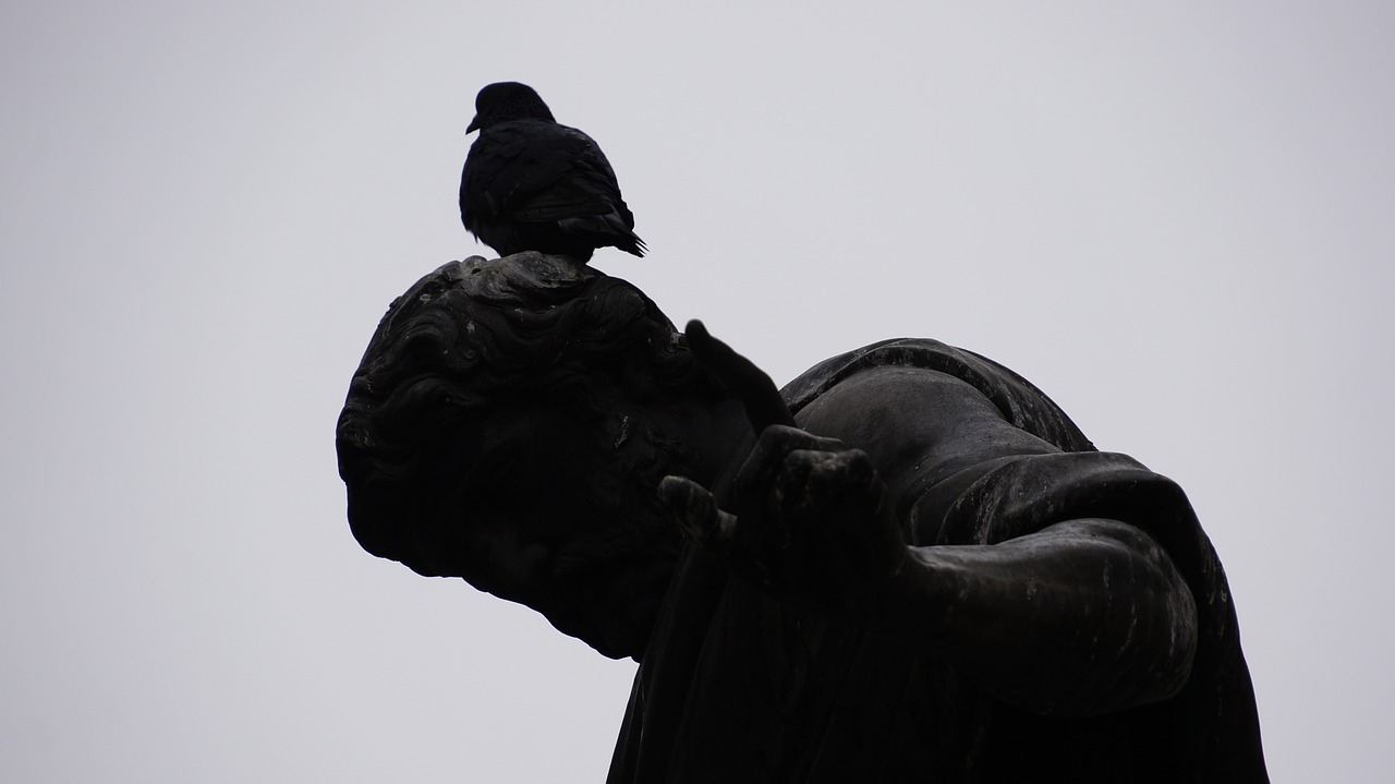 vienna bird statue free photo