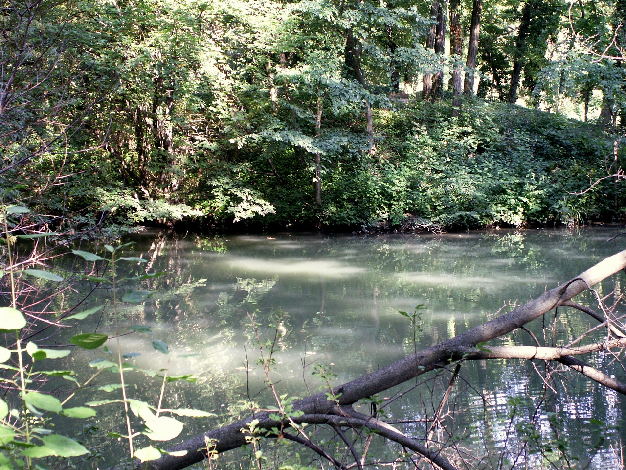 vienna park pond free photo