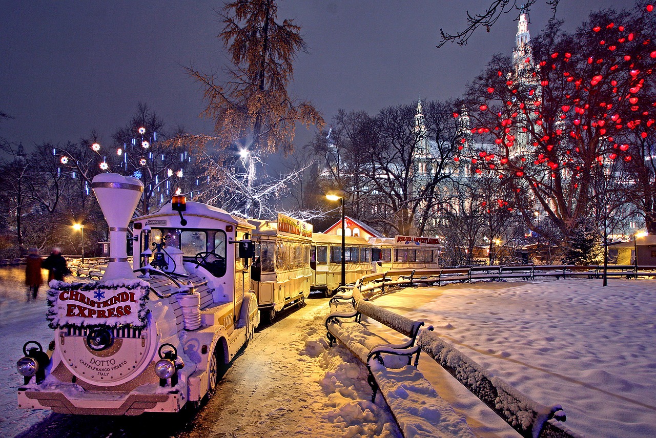 vienna christmas market city hall park free photo