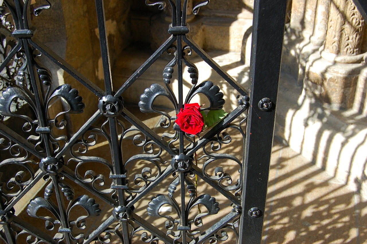 vienna st stephan's cathedral door free photo