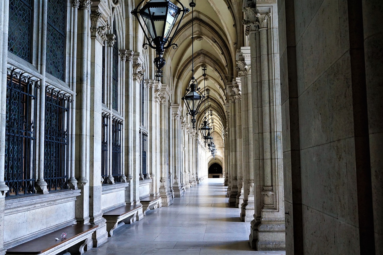 vienna  town hall  places of interest free photo