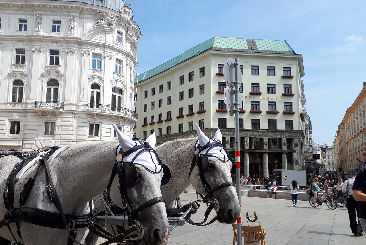 vienna  horse  fiaker free photo