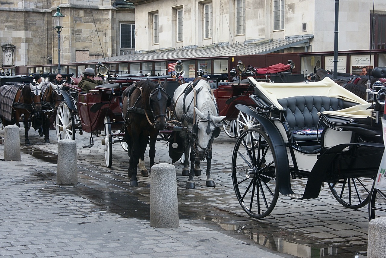 vienna carriages horses free photo
