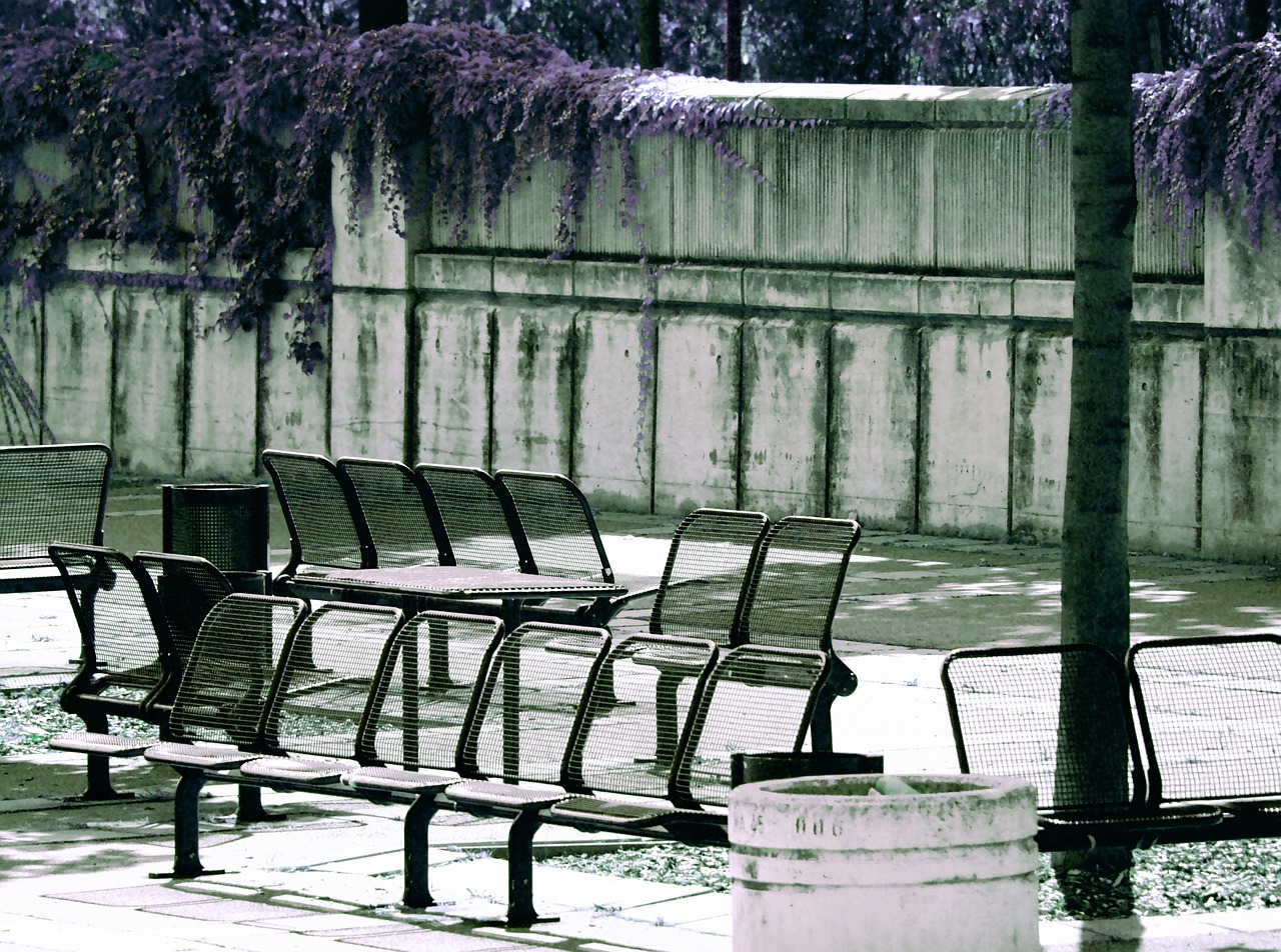 vienna danube island park bench free photo