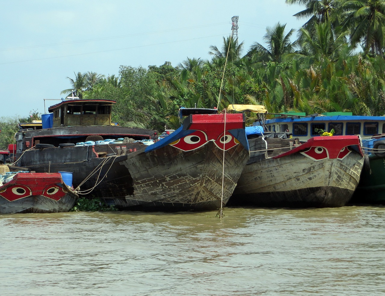 viet nam mekong barges free photo