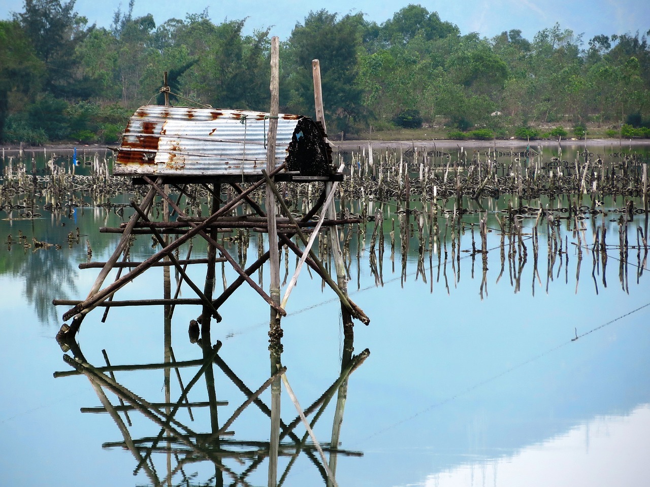 viet nam danang lake free photo