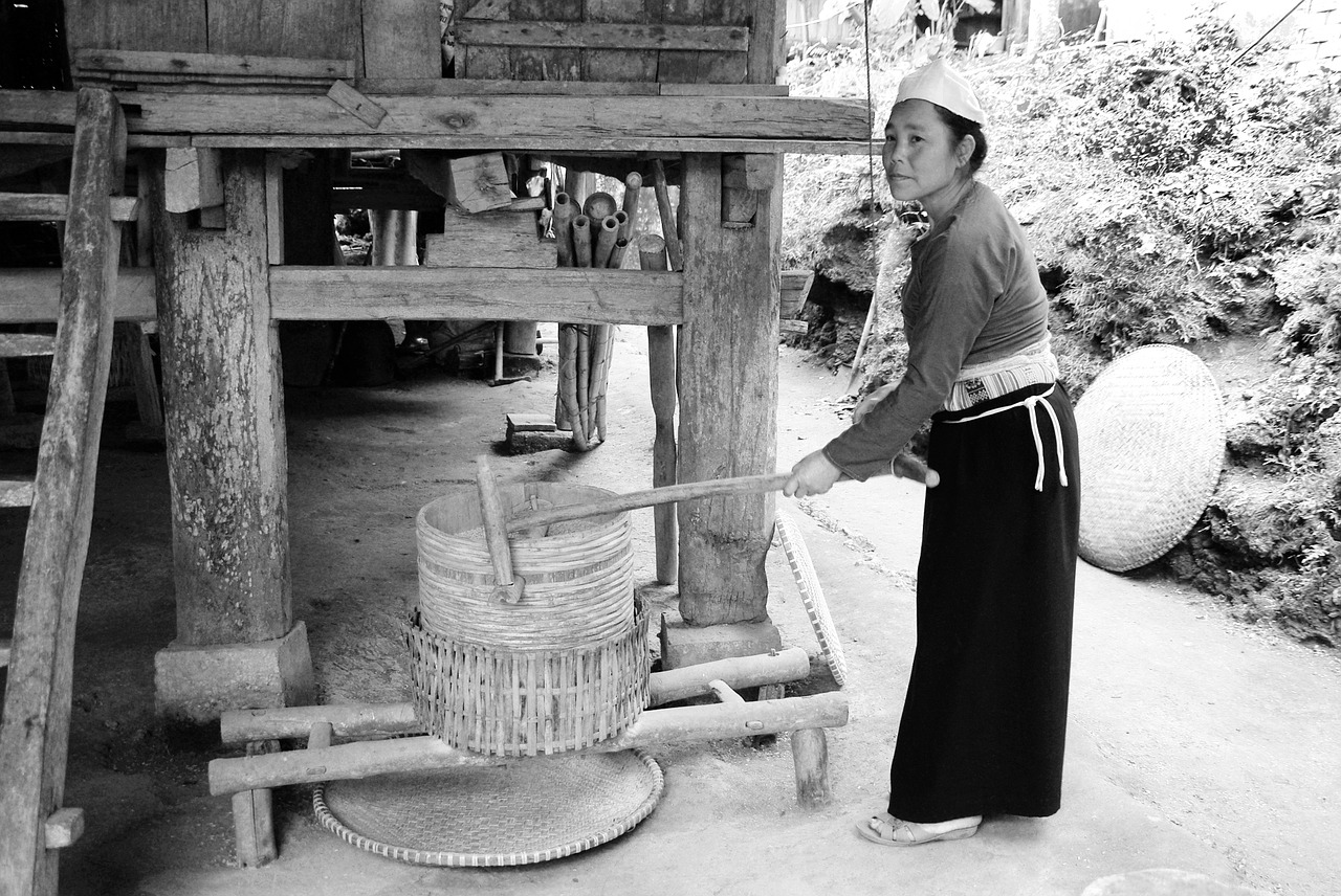 viet nam peasant agriculture free photo