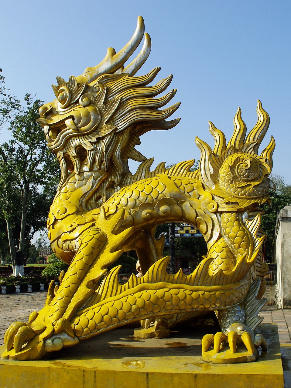 viet nam booed yellow dragon free photo
