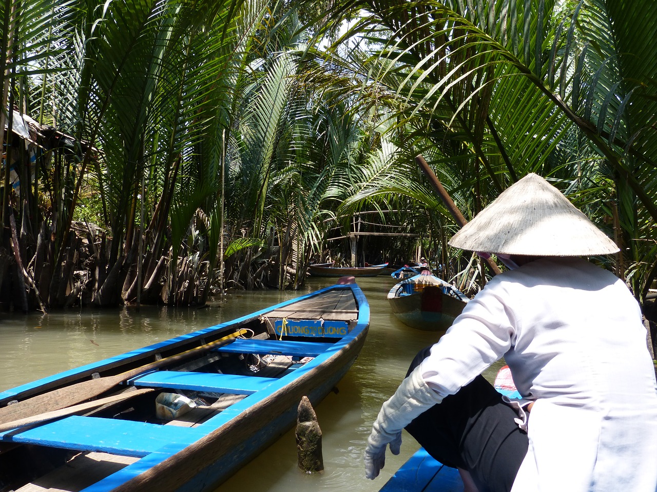 viet nam boat mekong free photo