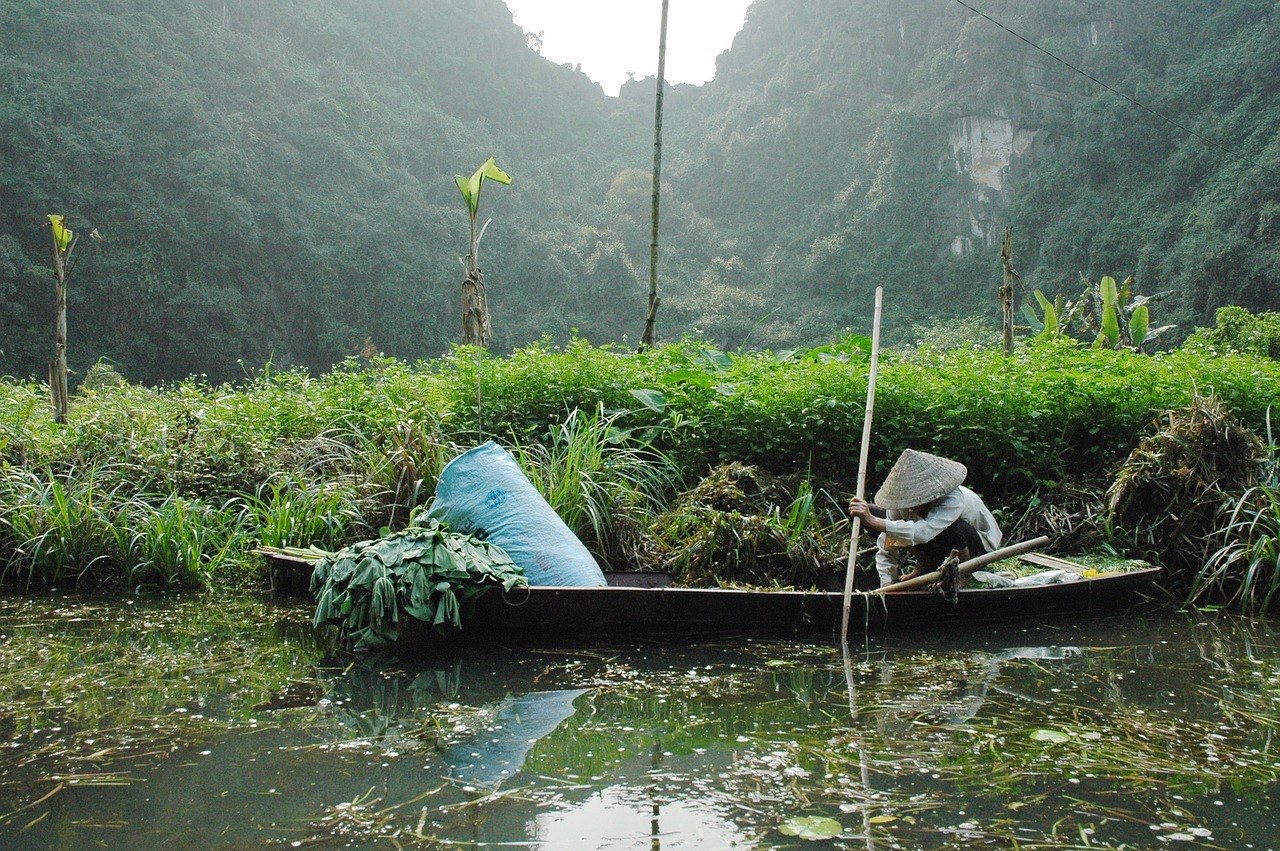 viet nam culture sampan free photo