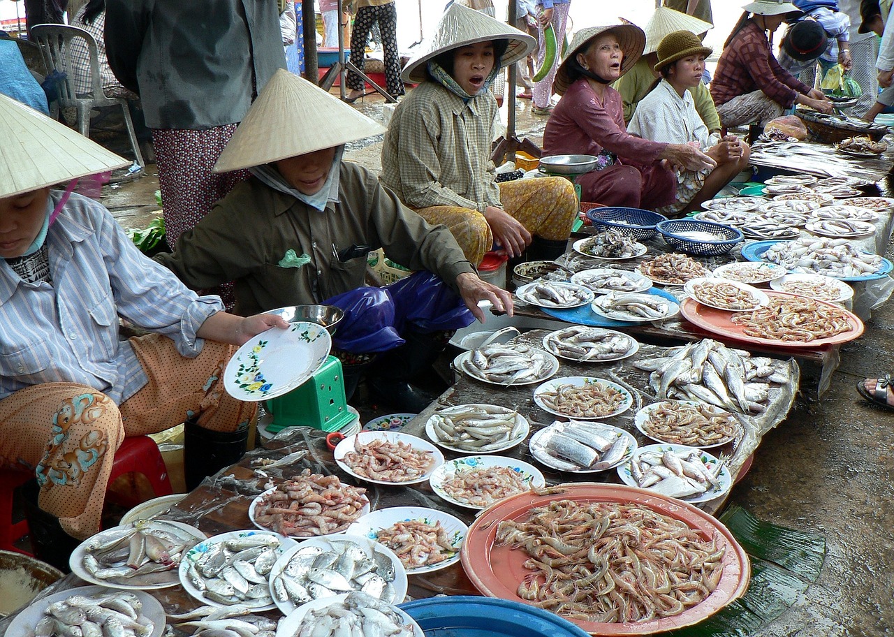 viet nam market fish free photo