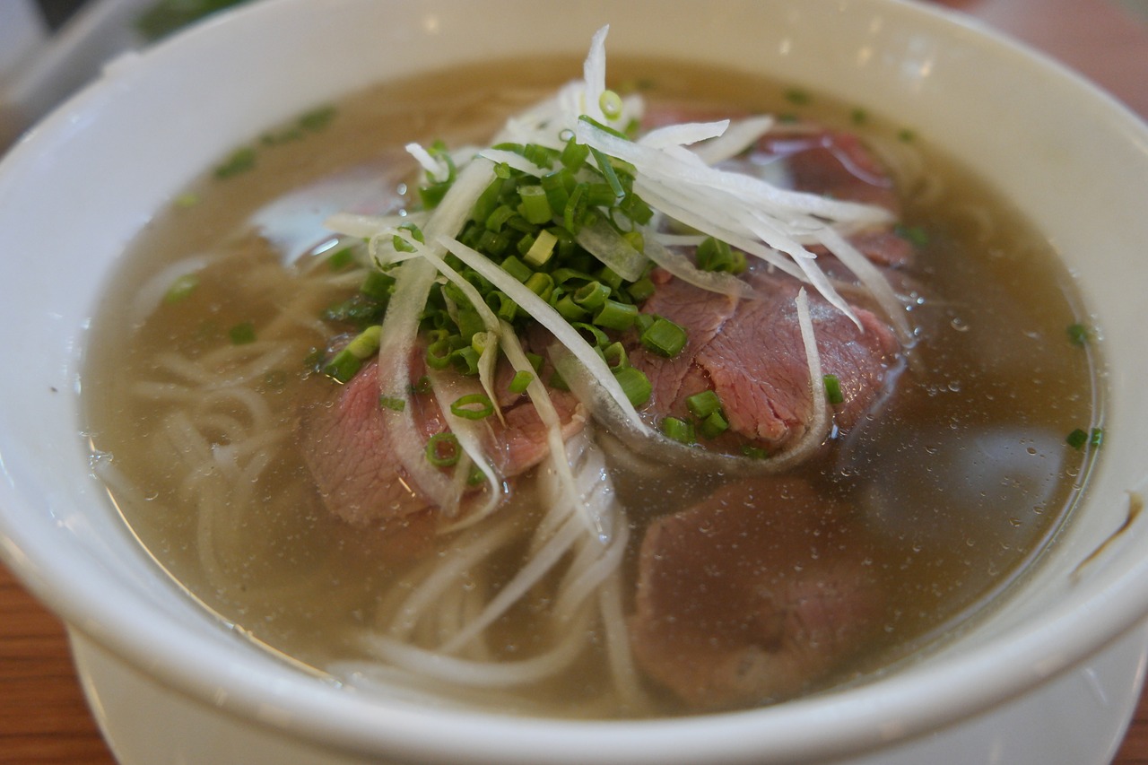 vietnam rice noodles noodles free photo