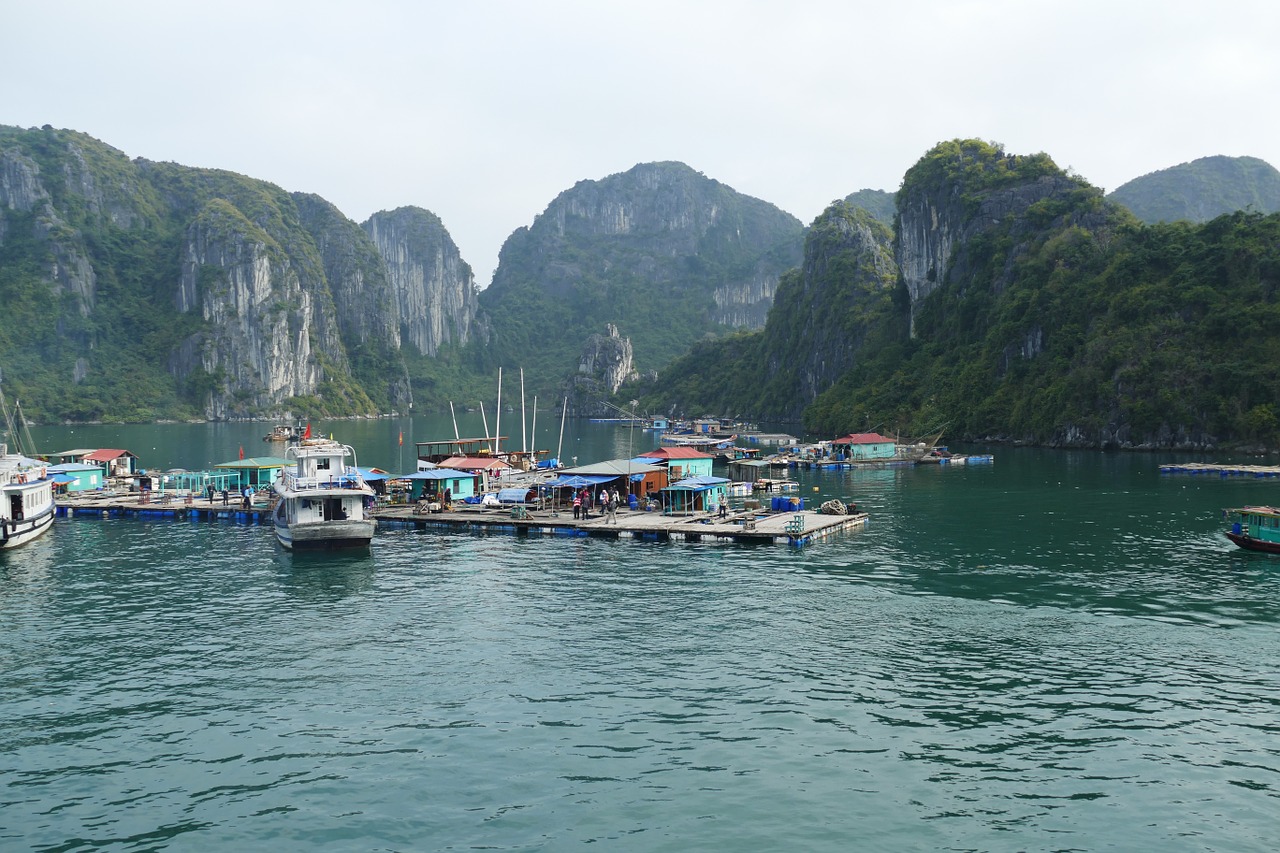 vietnam halong sea free photo