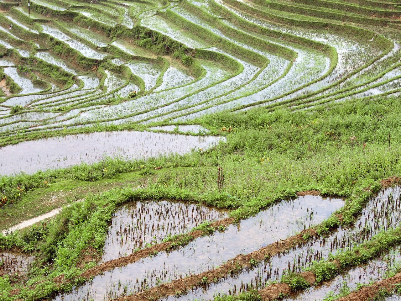 vietnam sapa asia free photo