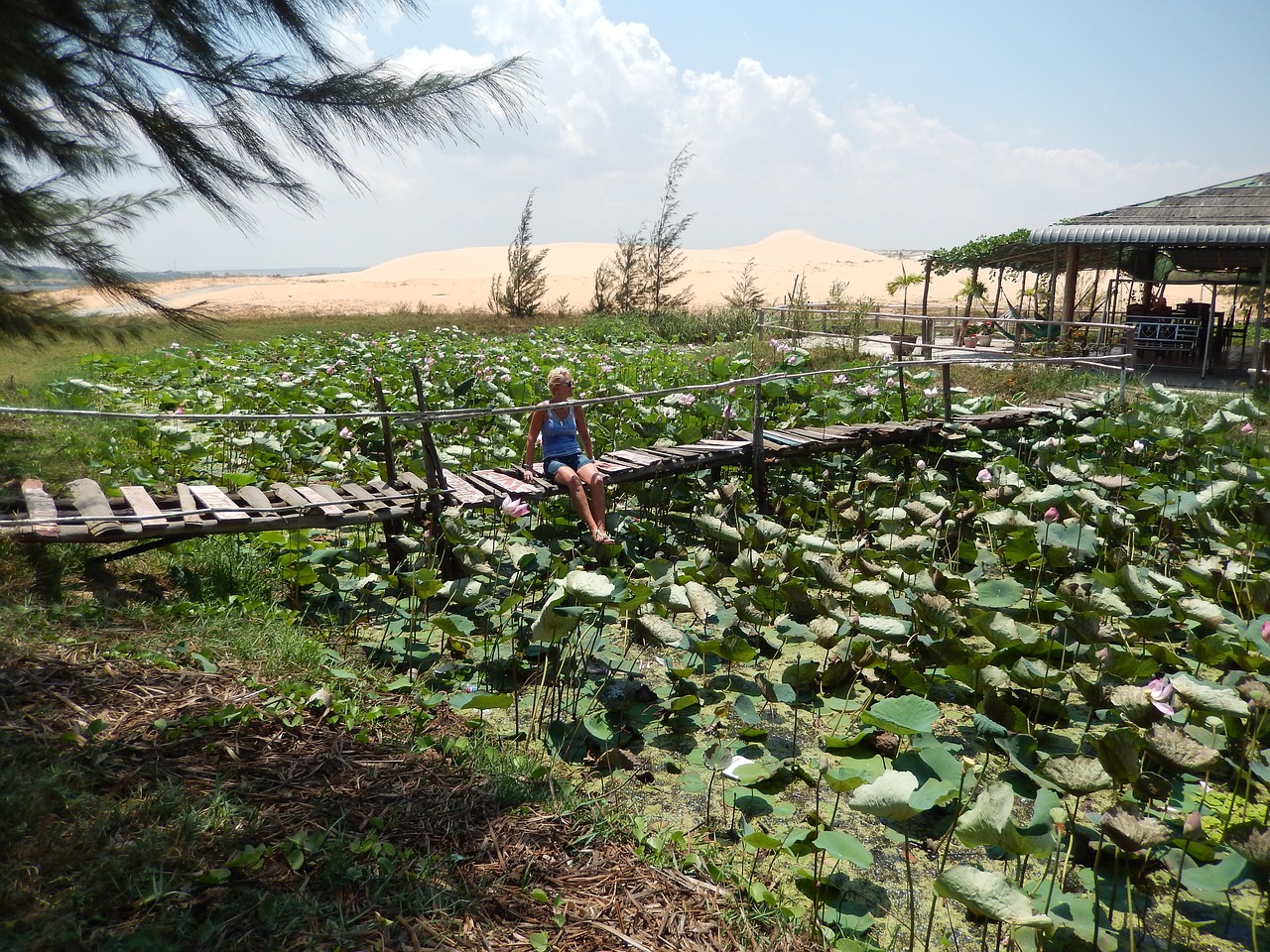 vietnam summer muine free photo