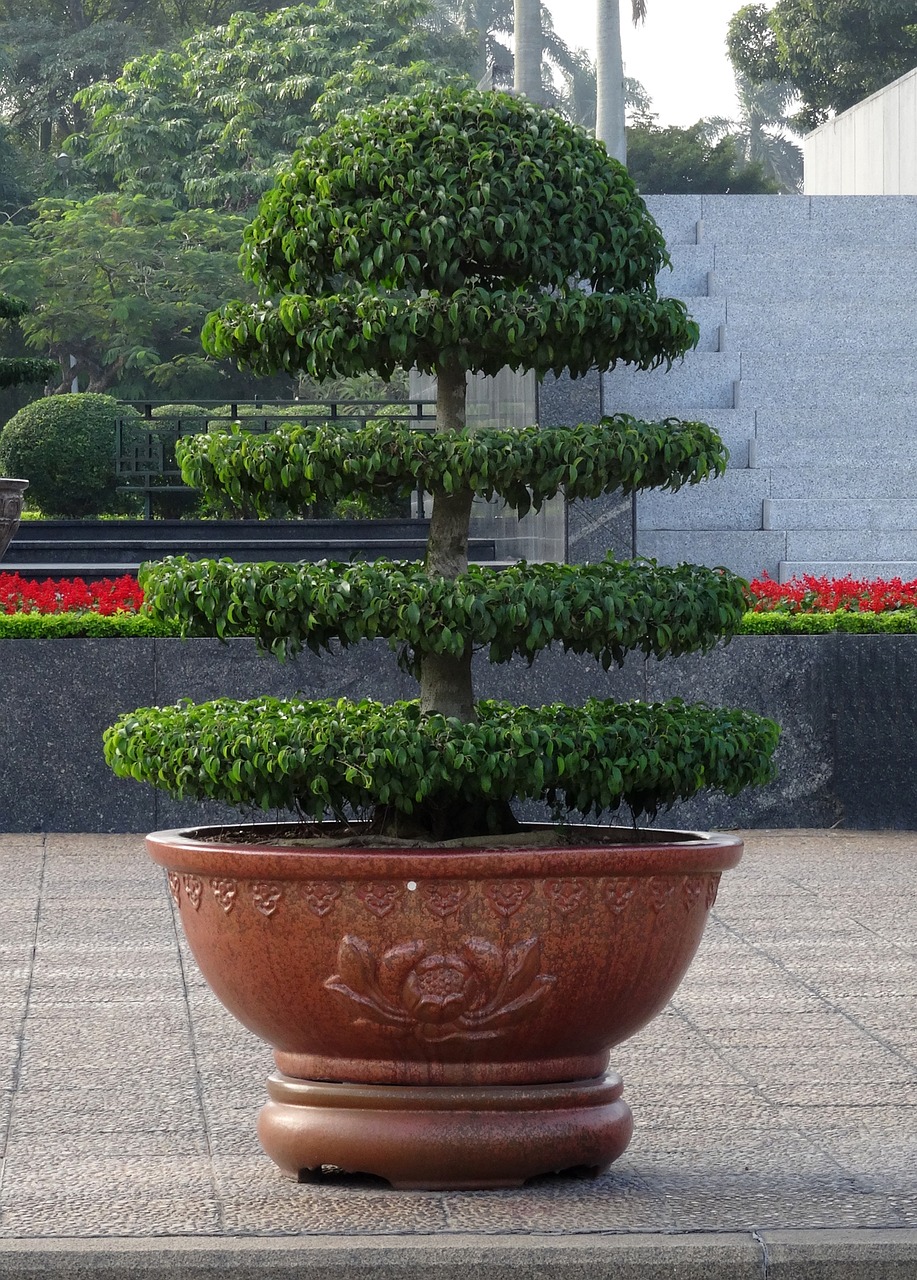 vietnam honor monument me ho chi free photo