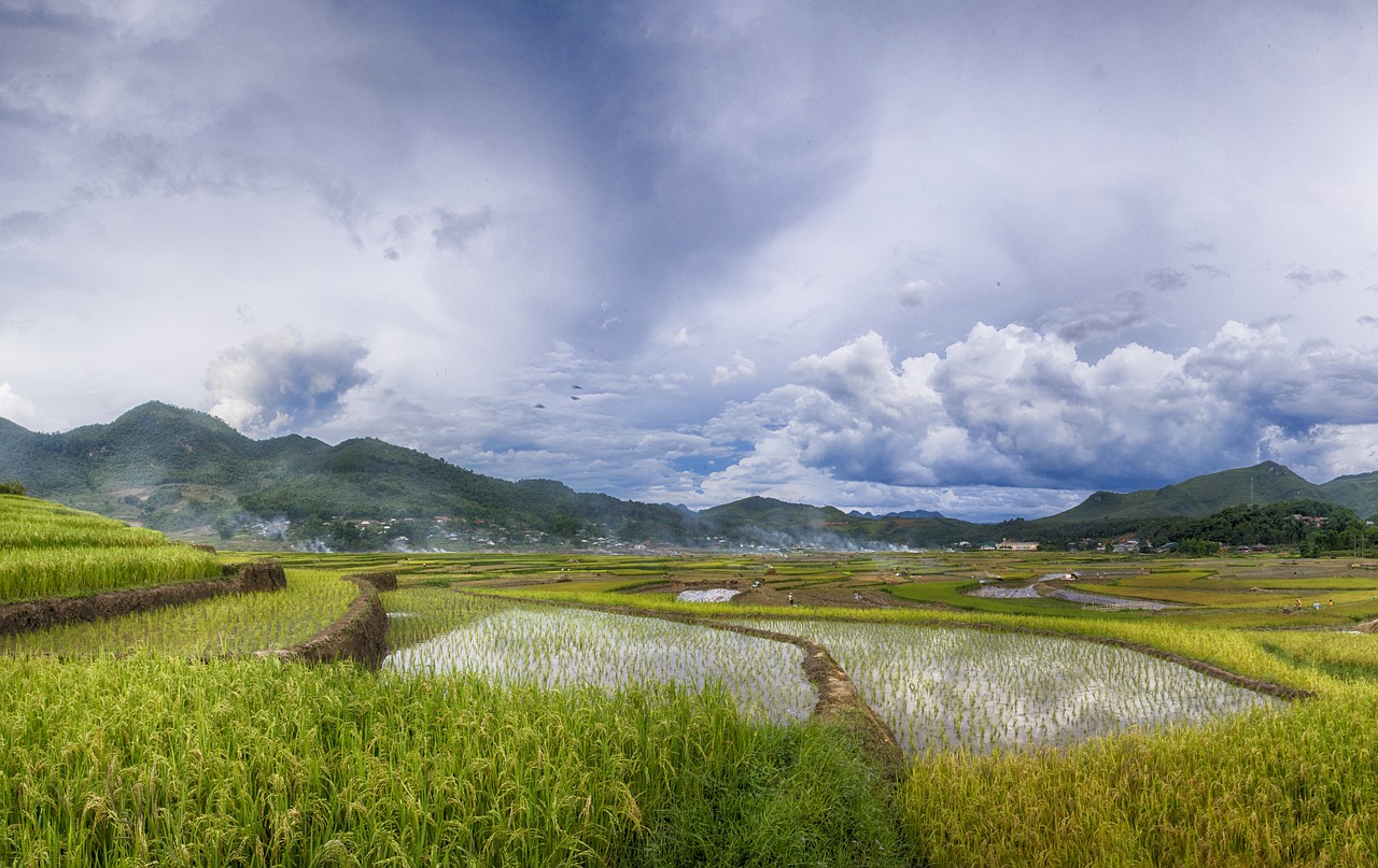 vietnam dienbien landscape free photo