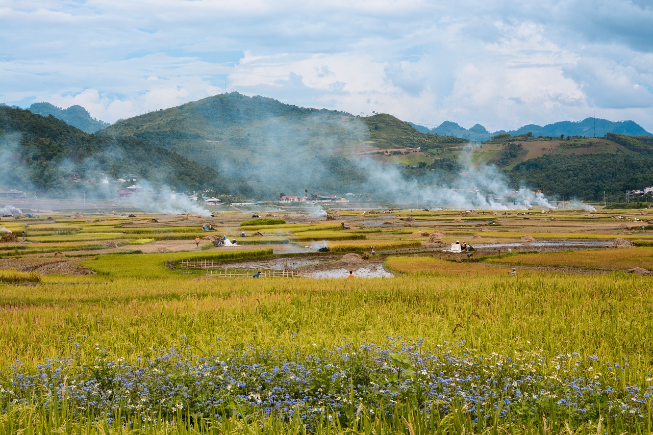 vietnam dienbien landscape free photo