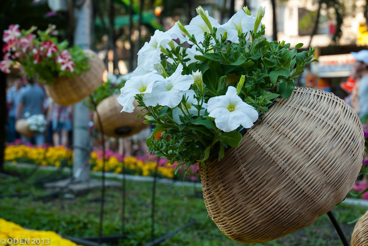 vietnam saigon flowers free photo