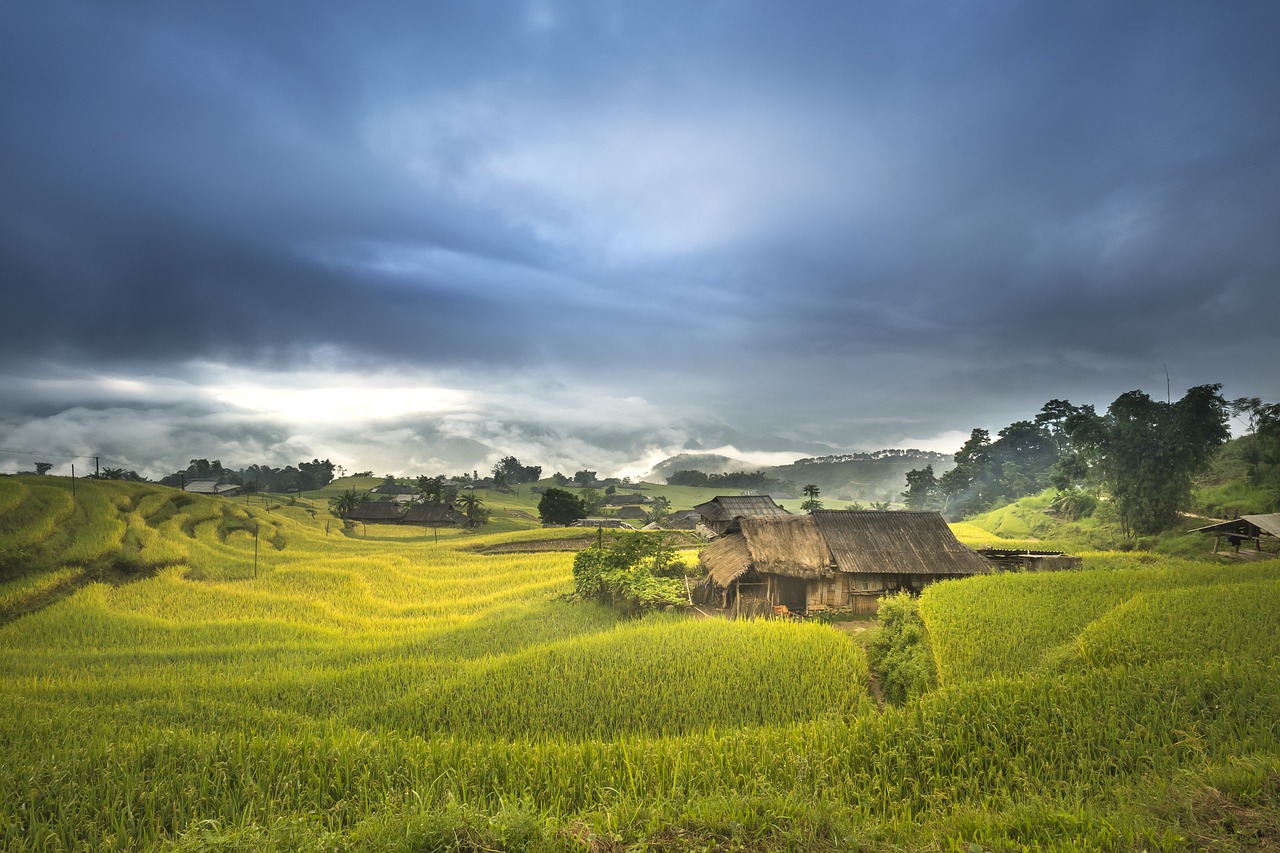 vietnam terraces rice free photo