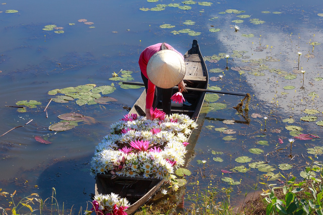 vietnam the boat natural free photo