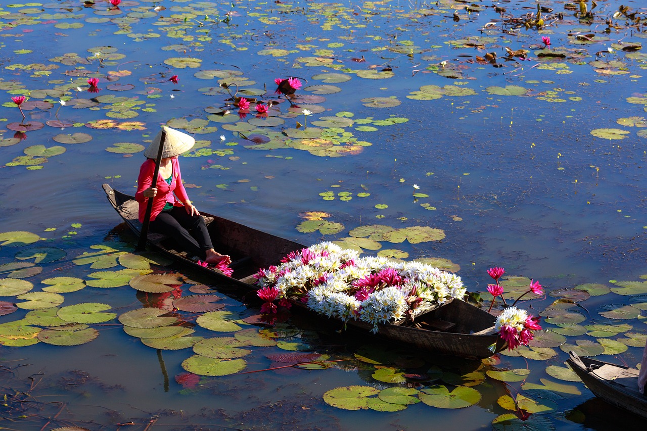 vietnam the boat natural free photo