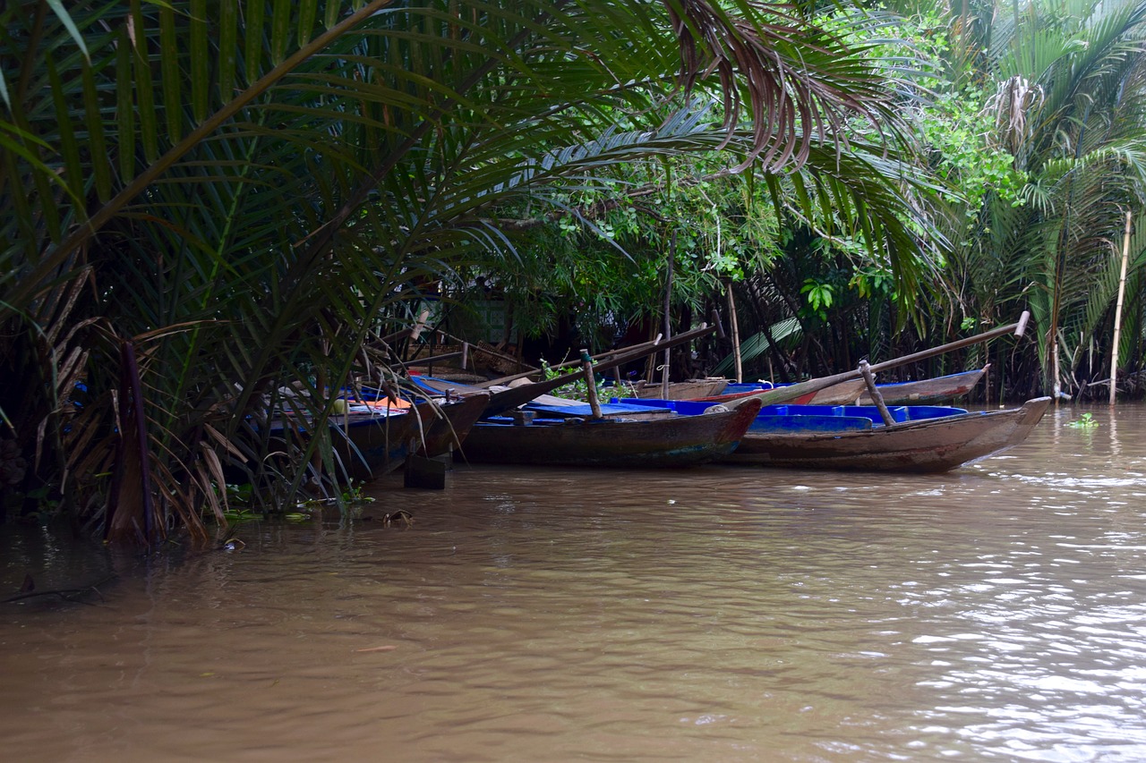 vietnam canoes boats free photo