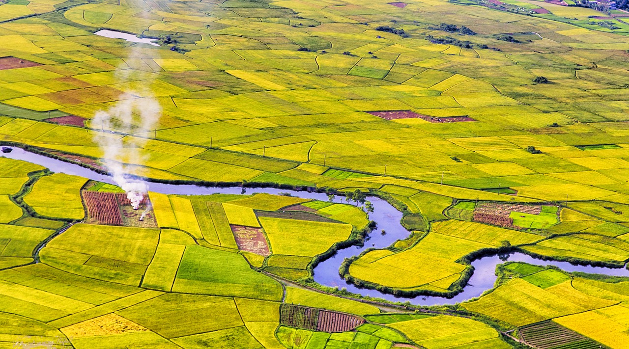 vietnam  landscape fields  aerial free photo