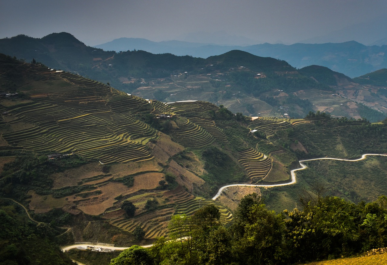 vietnam  northern circuit  rice free photo